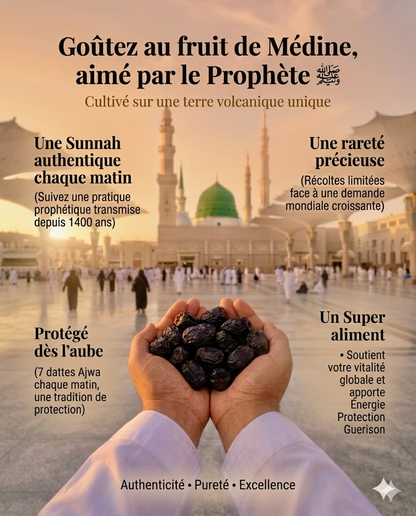 Dattes Ajwa Exclusivité Medine
